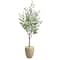 5ft. Eucalyptus Artificial Tree in Sandstone Planter